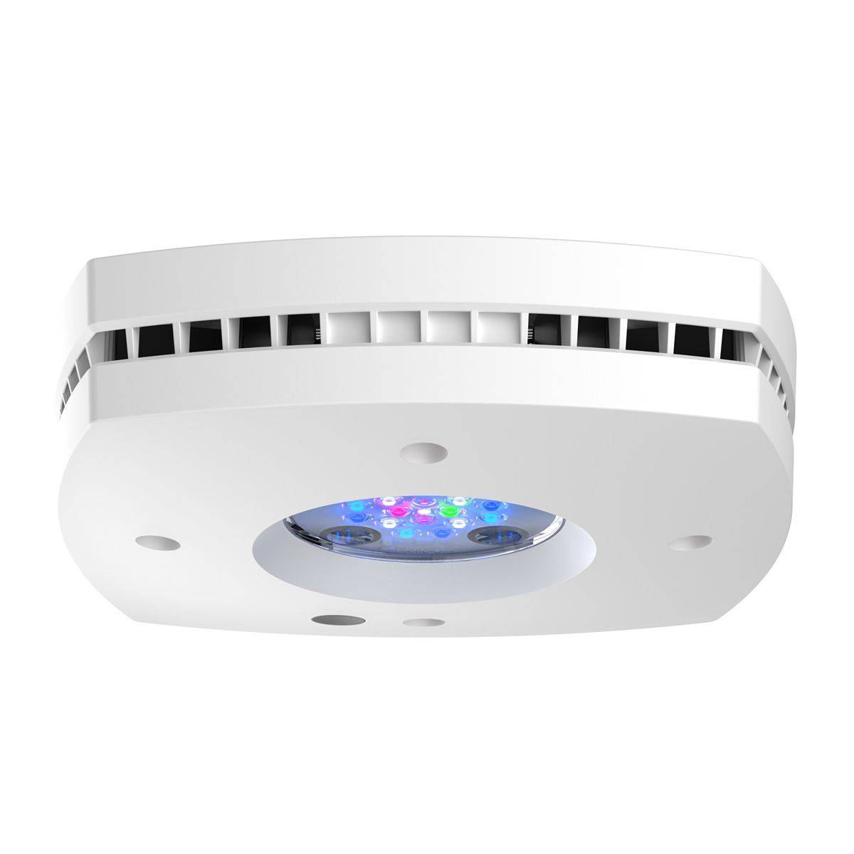 Reef Lighting - Prime 16 HD LED-Reflicht, Originalhalterung, schwarzes