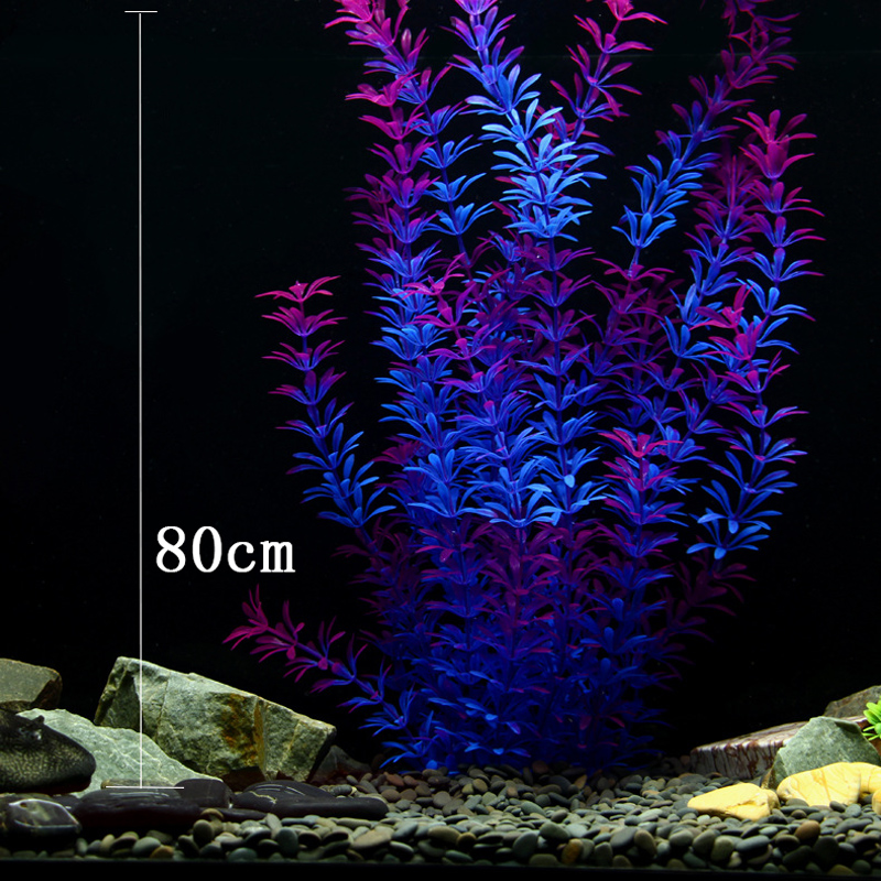 100cm Tropische Pflanzen, Groß – Ocean Aquarium Bewertung und Preis