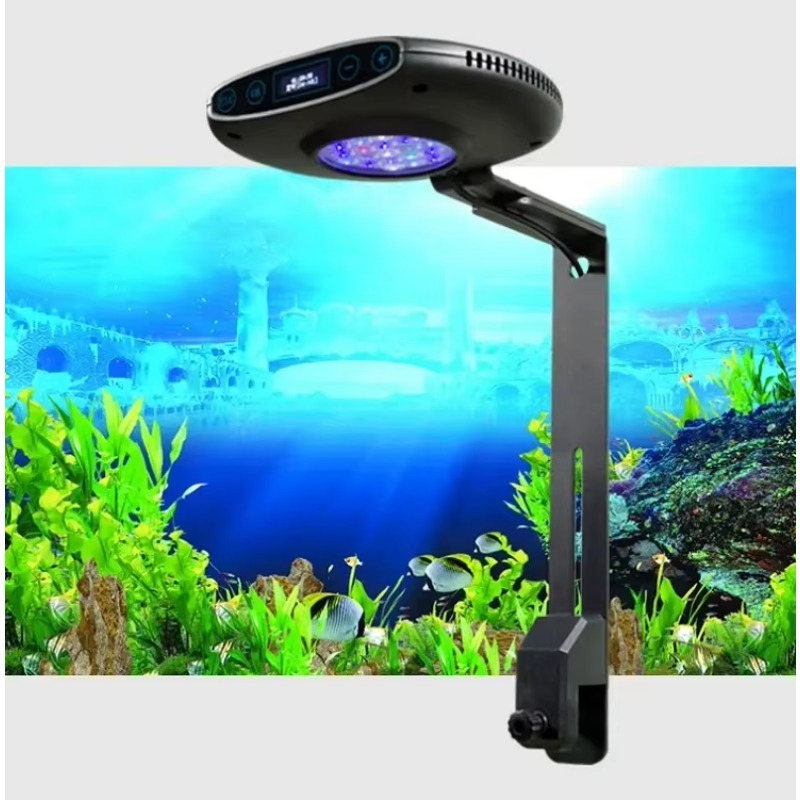 Q7 79W WLAN APP-Steuerung Riff – Saltwater Tank Bewertung und Preis