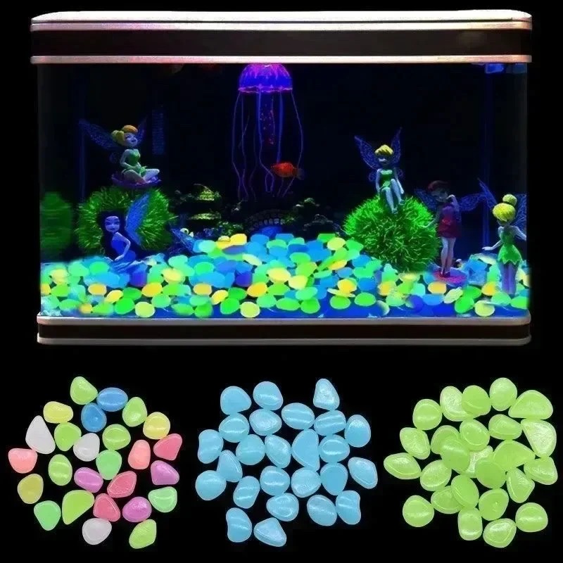 100–1000 Stück leuchtender Ste – Marine Fish Tank Bewertung und Preis