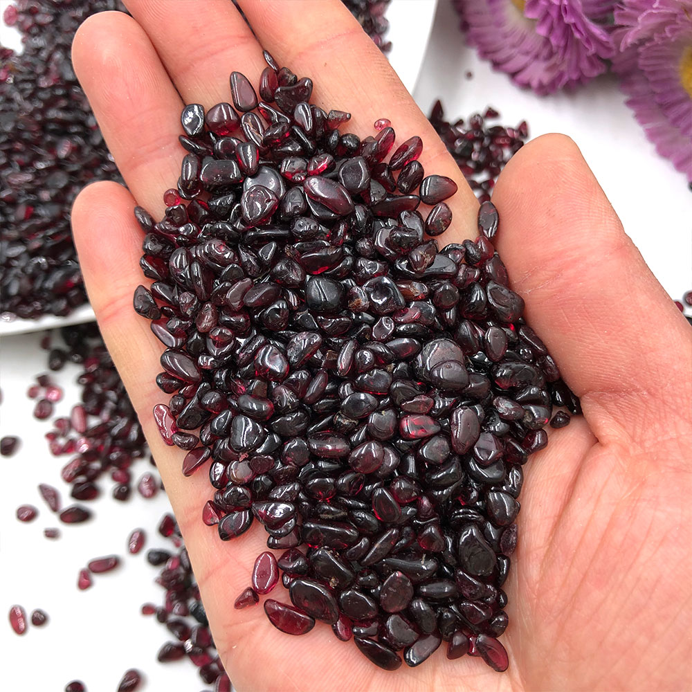 50 gr/paket Los natürliche rot – Marine Fish Tank Bewertung und Preis