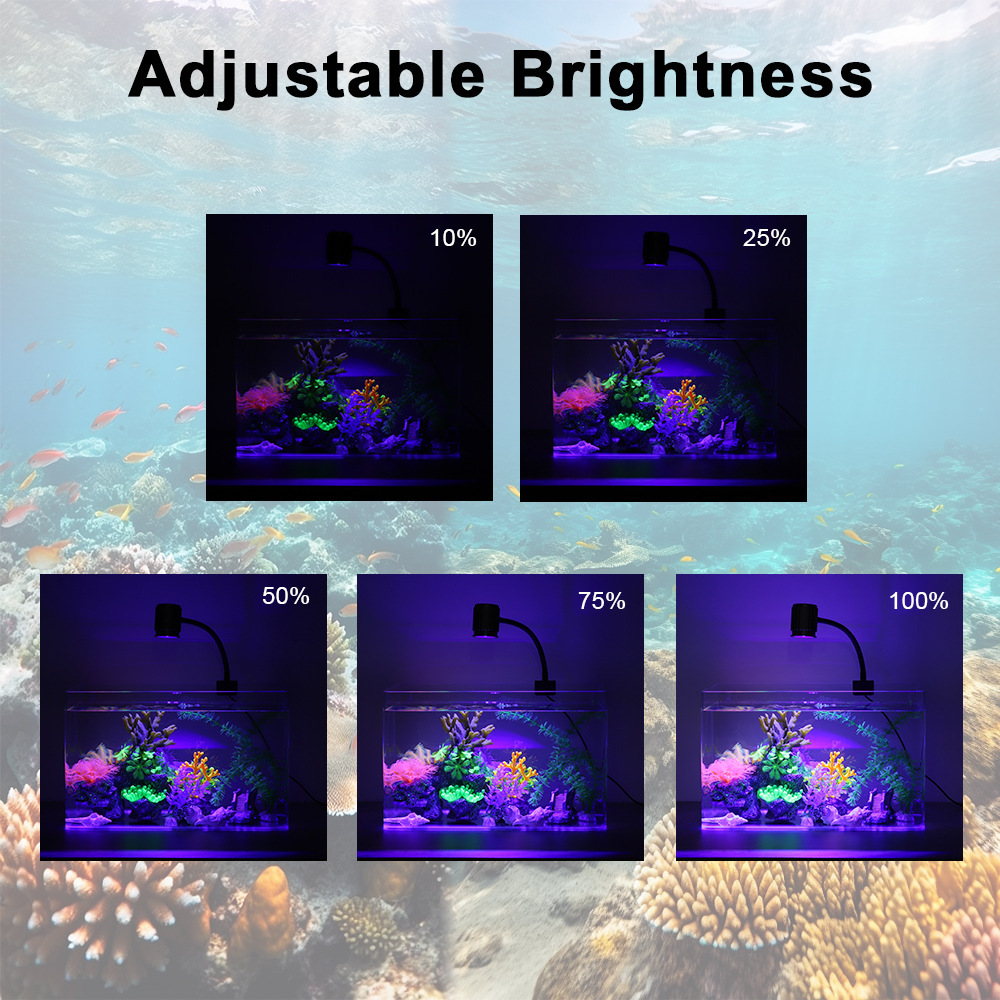 LED-Aquariumbeleuchtung Vollsp – Reef Lighting Bewertung und Preis
