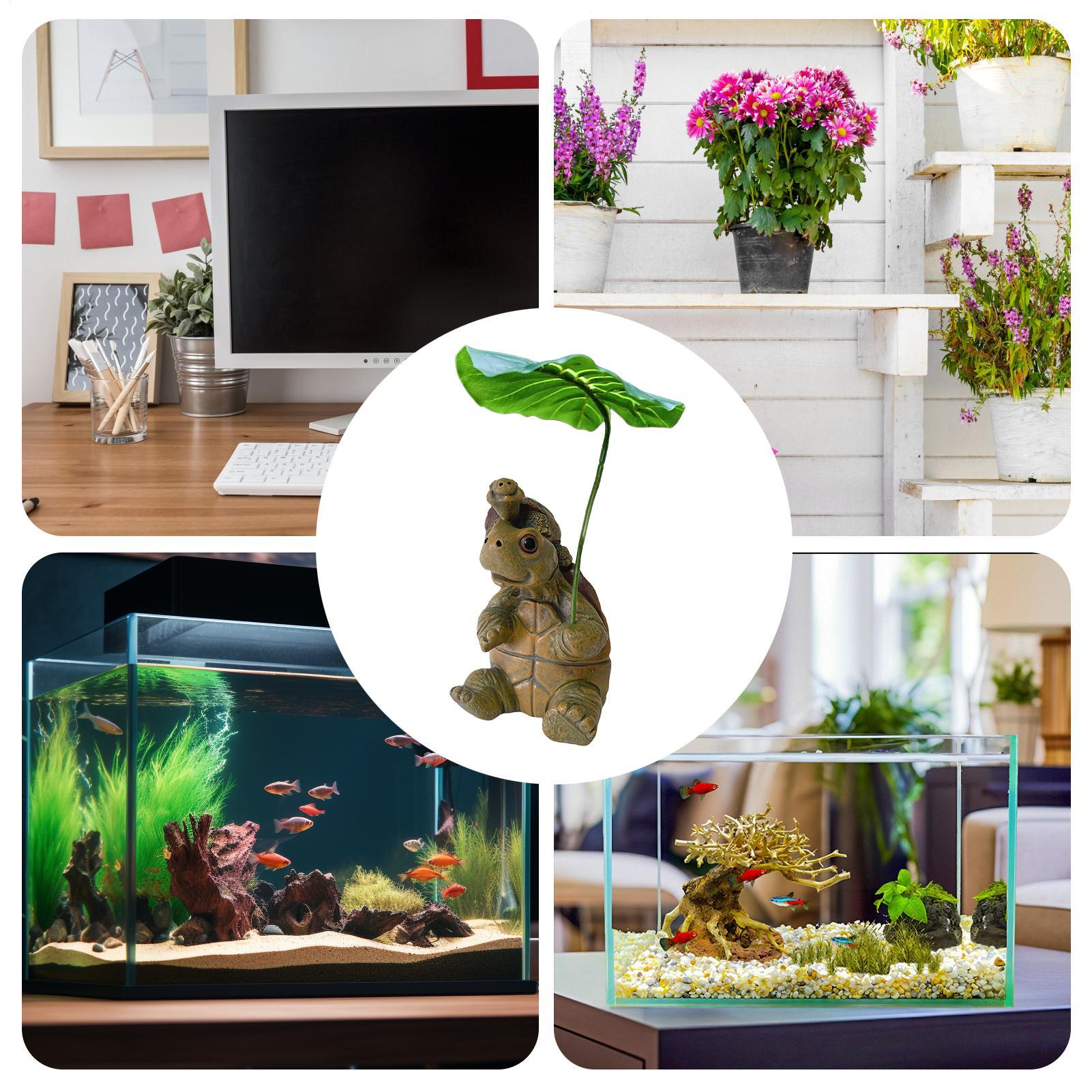 Schildkrötenfigur, Aquarium-De – Saltwater Tank Bewertung und Preis