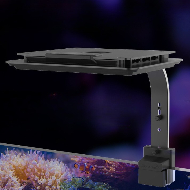 LED Meerwasser-Lampe Intellige – Aquarium Marine Lights Bewertung und Preis