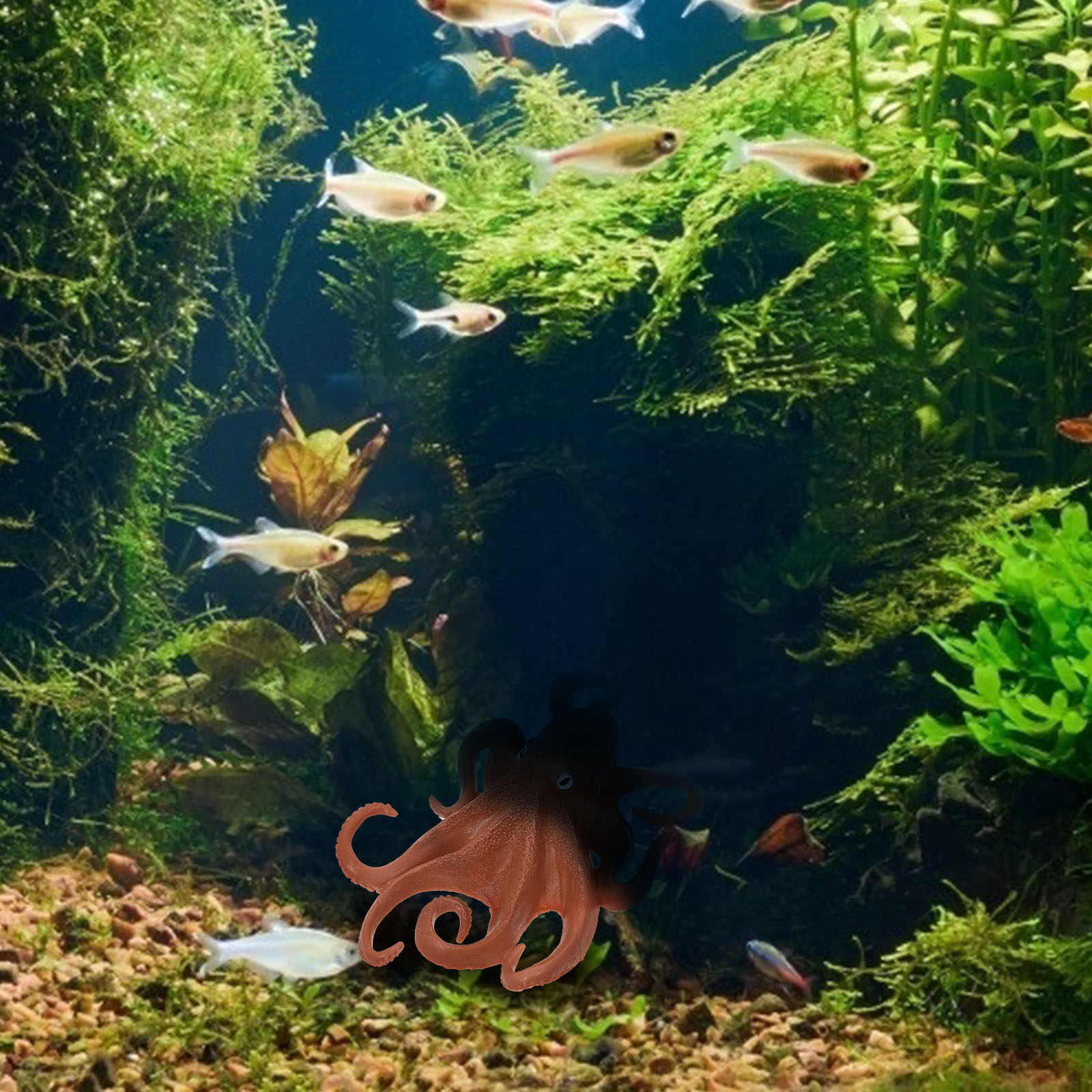 Realistische Oktopusfigur, Pla – Marine Aquarium Bewertung und Preis